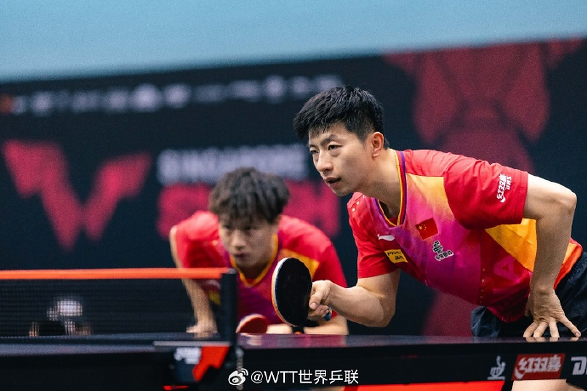 韩国乒乓球队强势比利时乒乓球队，马龙统治全场的简单介绍