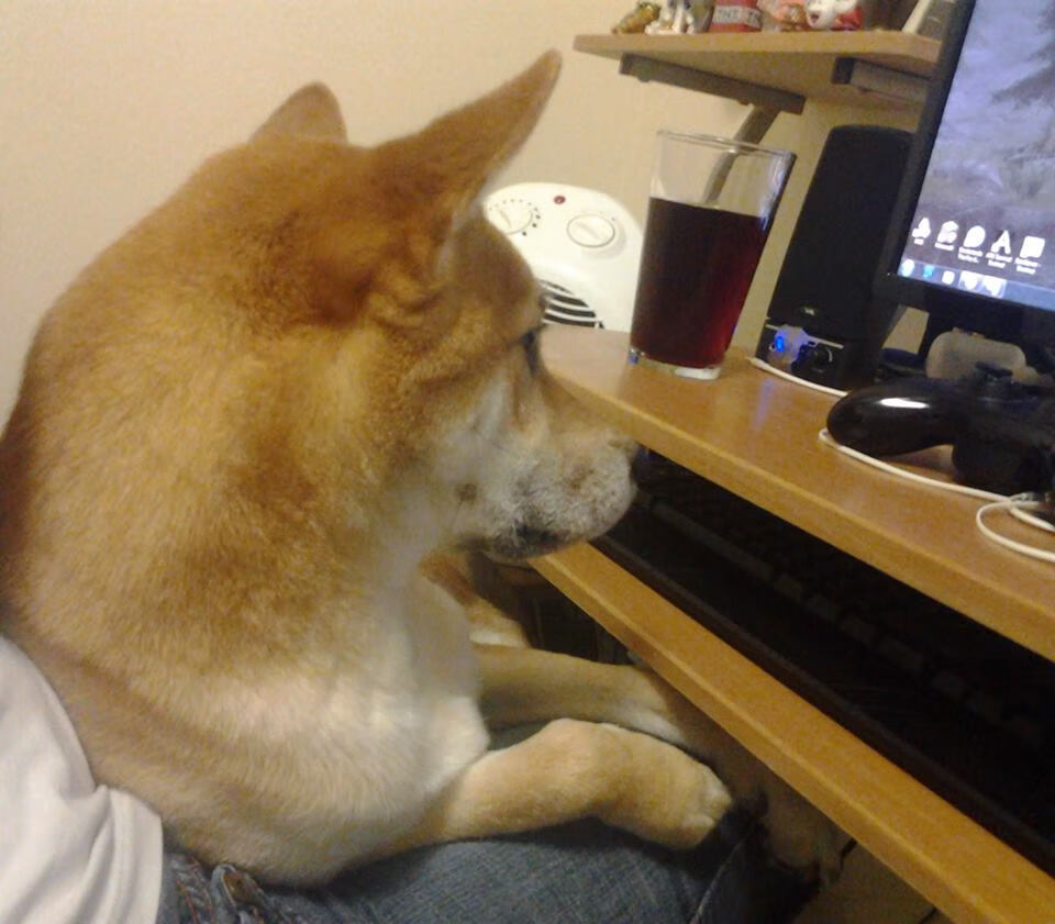 开云体育登录-关键先生，当胜利的秒针在本泽马与澳大利亚手中跳动