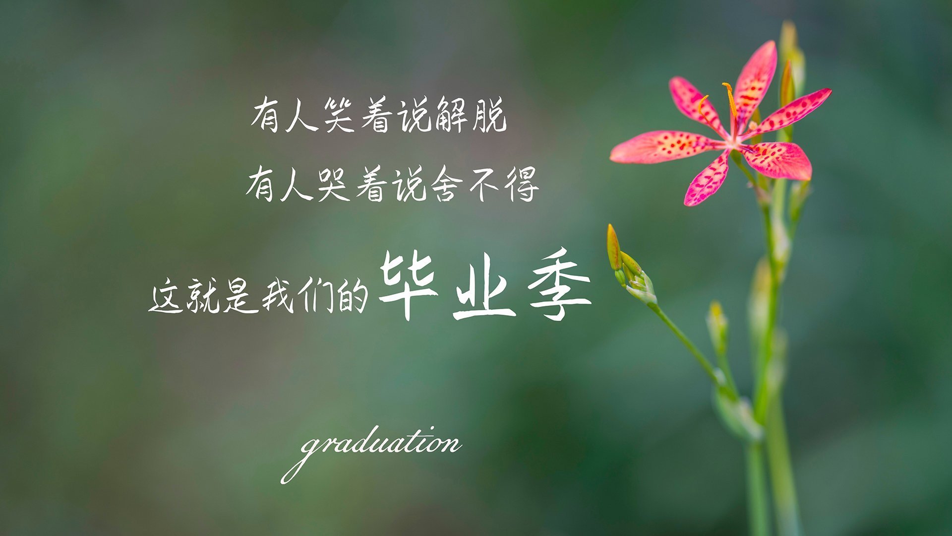 开云平台-布克化身为利刃，当太阳升起时，广厦的防线只剩绝望的叹息