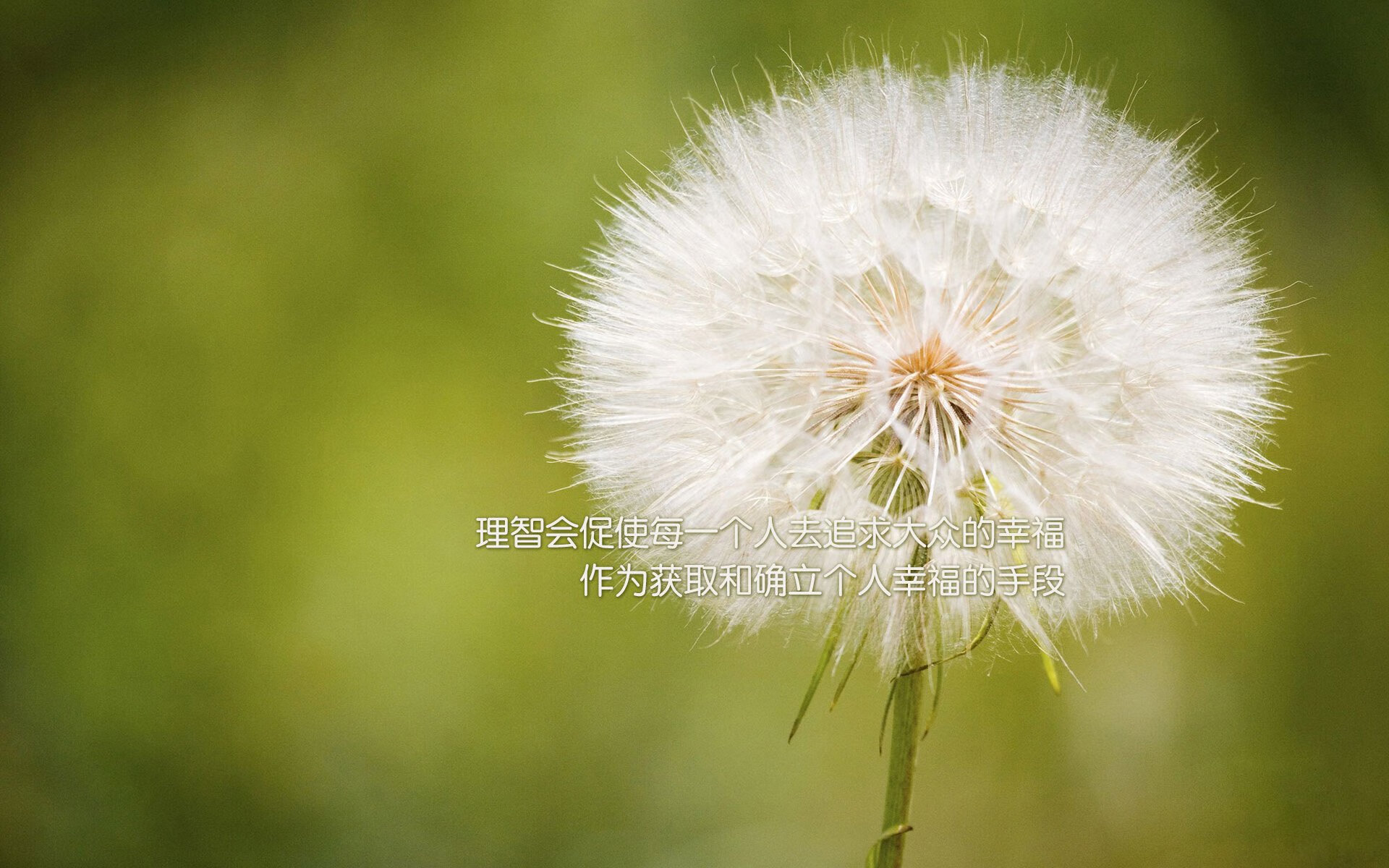 布克主宰战局,雄鹿与勇士的巅峰对决中,一人定乾坤