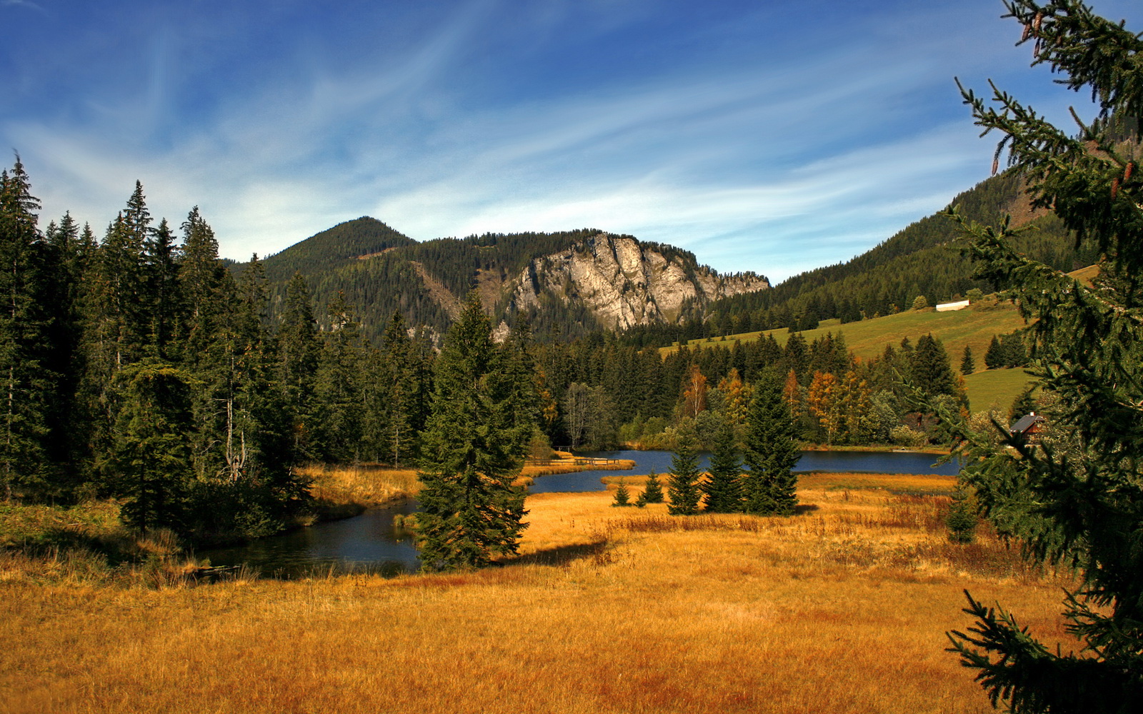 速度之巅与战术碾轧,当F1引擎咆哮着遇见太阳风暴