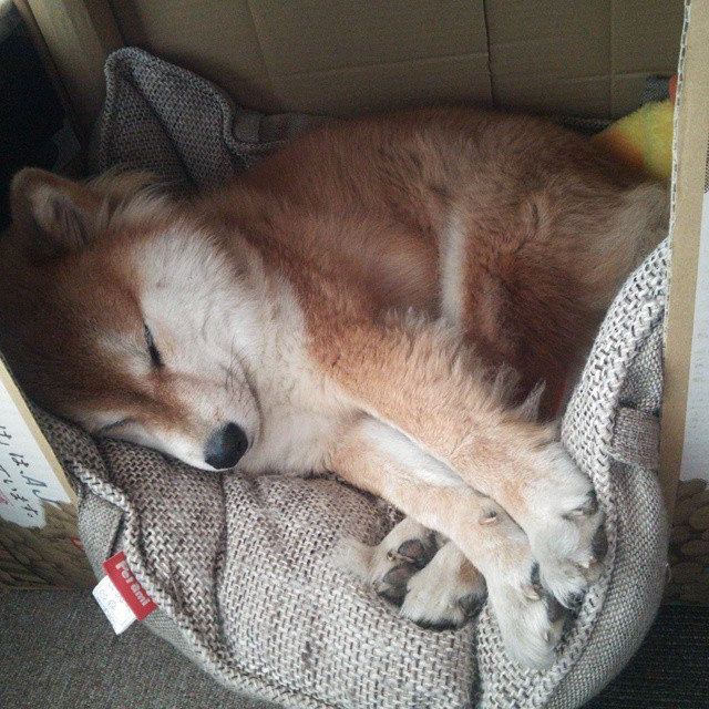 楚阿梅尼，以孤独的确定性，重构皇马的碾压美学