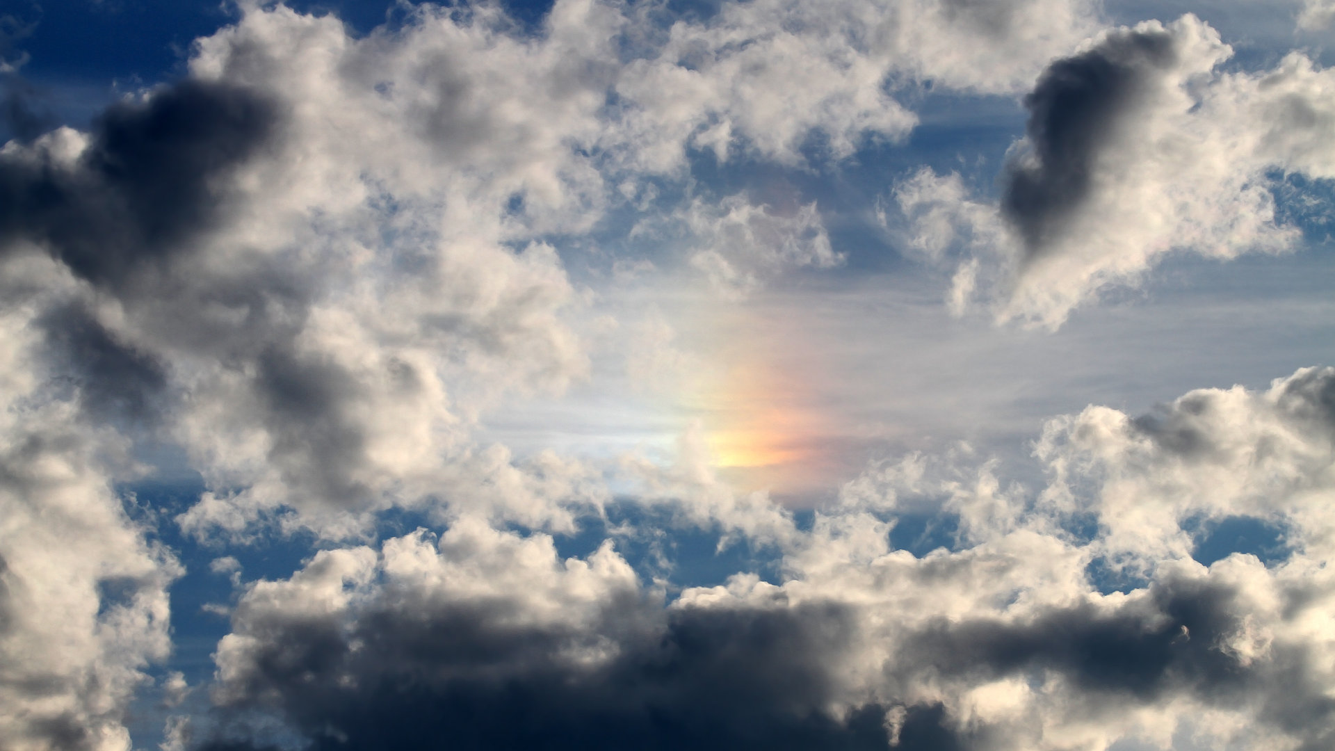 焦点战亮剑！文班亚马用天赋与智慧击穿所有质疑