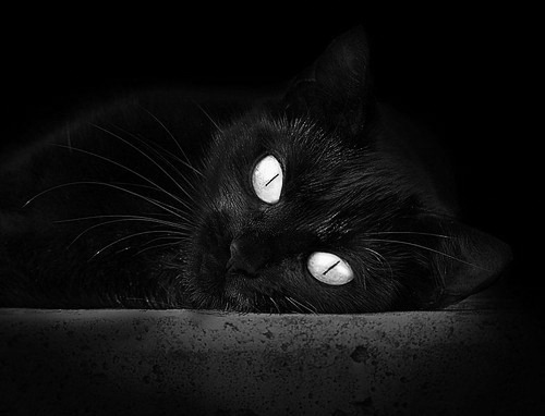 开云体育APP下载-关键先生英格拉姆锁定胜局！爵士末节逆转风暴席卷开拓者