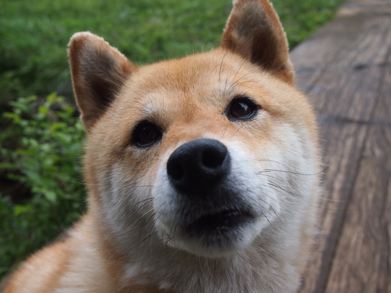 葡式风暴席卷米兰城，巴斯托尼一手导演对AC米兰的战术碾压