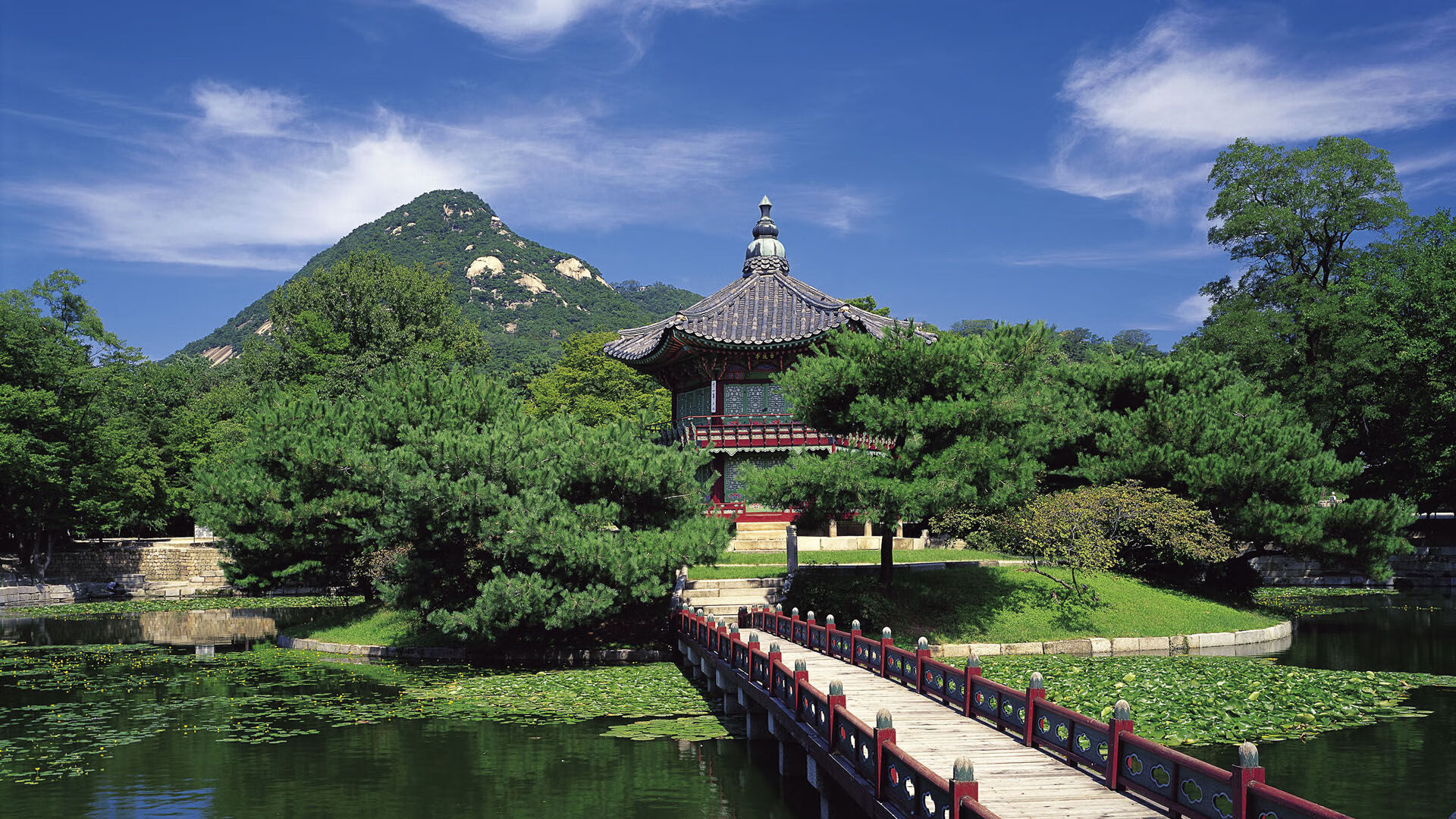 竞速与对抗，F1新赛季揭幕战焦点回顾及辽宁队力克公牛精彩解析