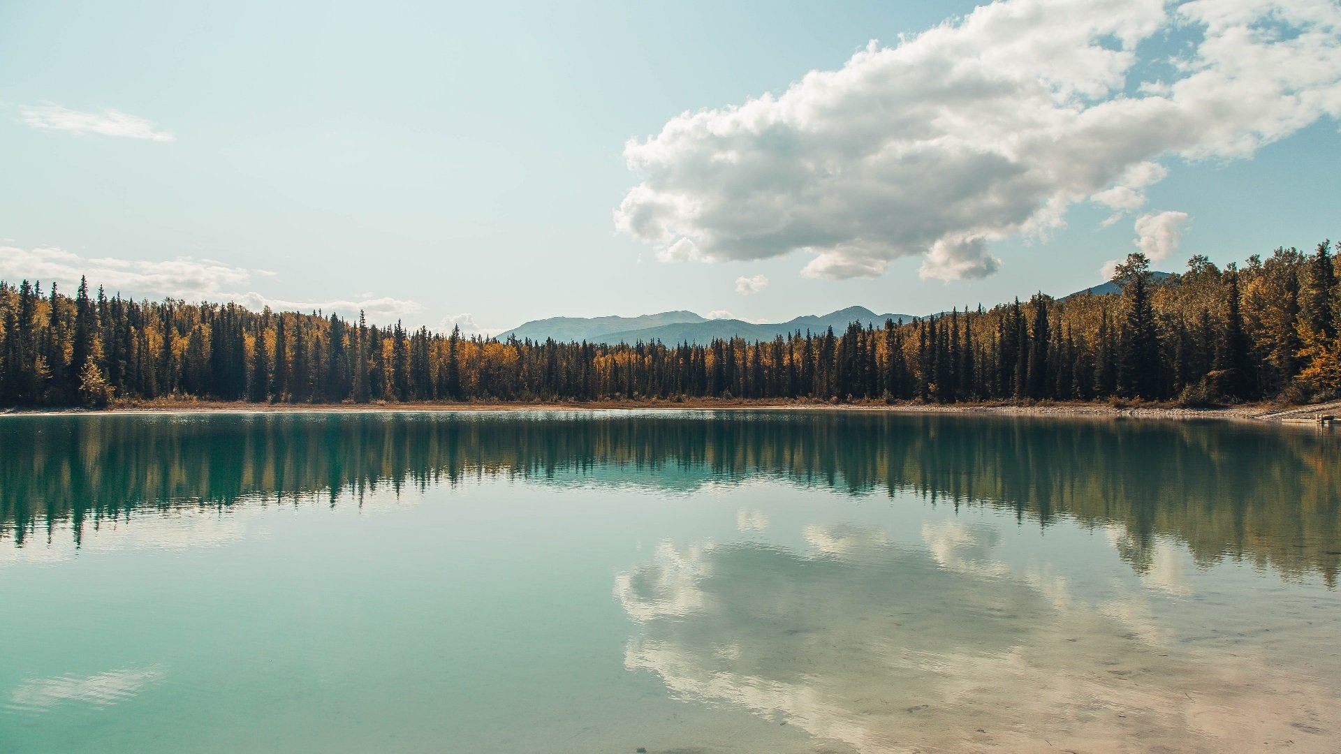 牙买加风暴席卷摩纳哥，F1街道赛焦点战正面击溃多特蒙德霸权