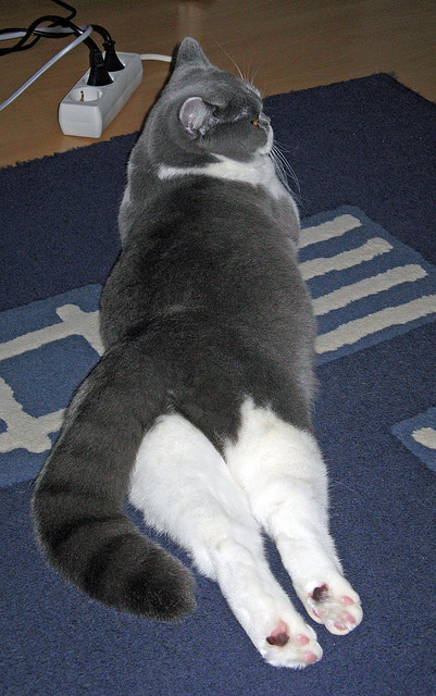 开云体育下载-足球诗篇，当雷恩的逆转暗夜照亮阿圭罗的封神黎明