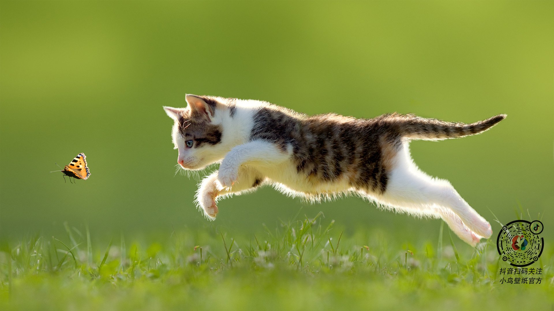 开云体育官网-贝恩一剑封喉！勇士逆转森林狼，绝杀背后暗藏玄机