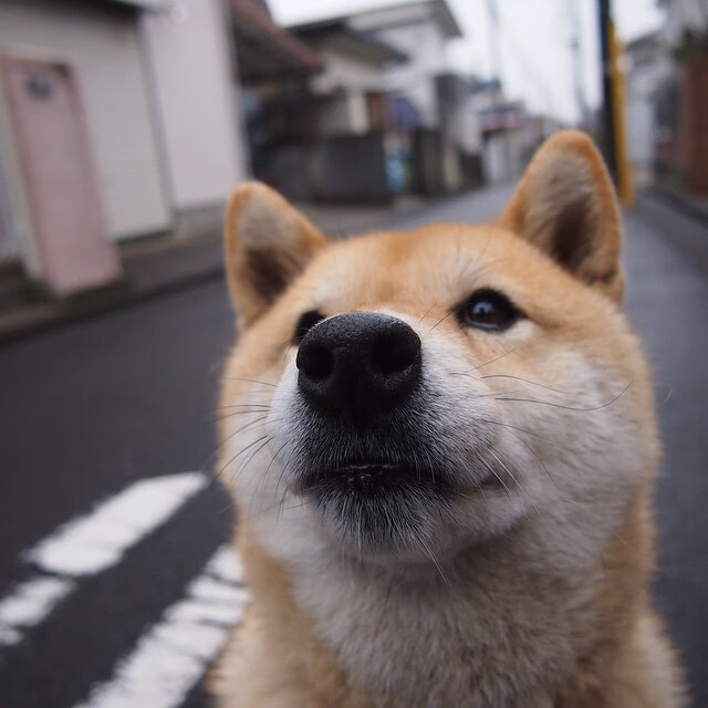 双城记，萨拉赫的绝杀之夜与加克波的王者时刻