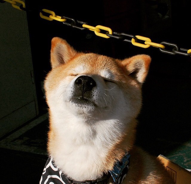 格纳布里独造三球导演逆转!加拿大3-1厄瓜多尔创历史