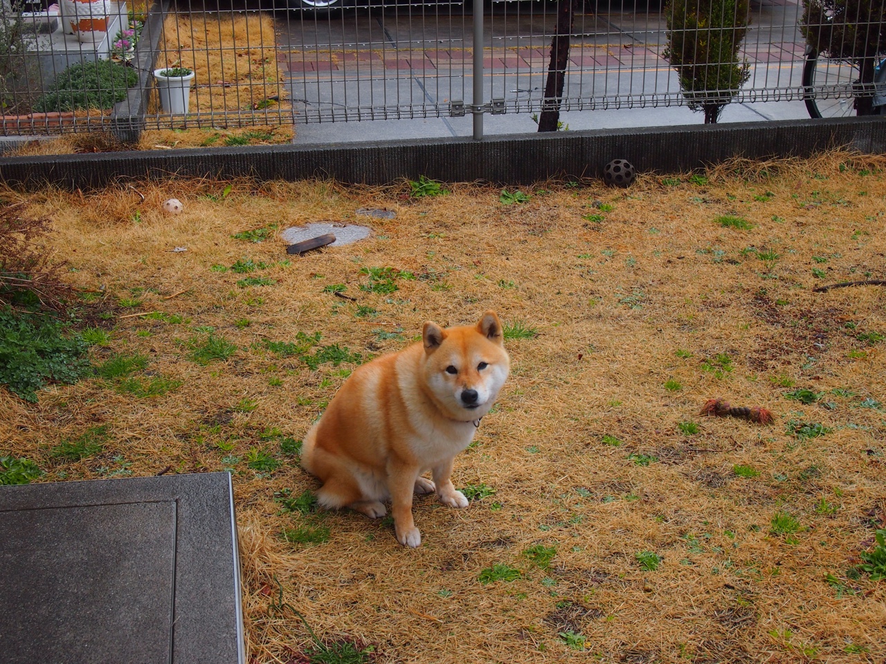 英超争冠之夜，哈利伯顿全场最佳无争议